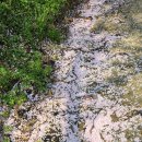 에이플농장 이미지