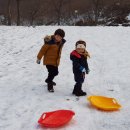 늘푸른쉼터 이미지