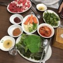+ 7월일상 / 입터짐주의/ 을지로 만선호프/ 을지로 백제 고기집 / 백제 정육 식당/ 마포 황태 해장국...