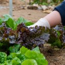 지정농장 이미지