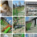 퐁이네 애견 이미지