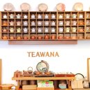 부산애견 이미지