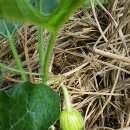 우후농장 이미지