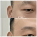 세종 눈썹문신 비비드수아 다녀온 후기｜눈썹 유목민 드디어 정착각