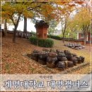 계명대학교 | 대구 가을 명소 계명대학교 대명캠퍼스 주차 현재 상황 산책 후기