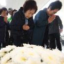 74 오마이뉴스