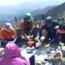 합천토종흙돼지 이미지