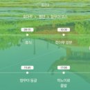 베트남초이스 이미지