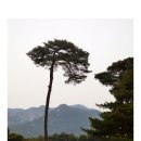 삼능