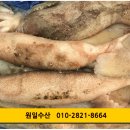 원일수산 - 구로구 고척로23길 50 | 원일수산