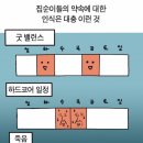 족황상제 이미지