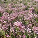 당암주유소 이미지