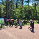 붉은오름자연휴양림 이미지