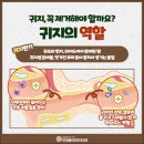 연세솔이비인후과의원 이미지