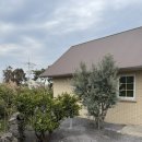 글라하우스 | 제주 글라하우스 감성숙소 후기 Glla House 아기랑 숙소 웨딩촬영 유럽느낌숙소 아기의자