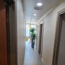 닥터수안마원 이미지