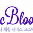 라벤더블룸 이미지