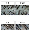 모클락 이미지