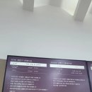 아쿠아워시대전산성점 | 대전 세종 근교 아이랑 가기 좋은 워터파크 추천 l 부여 롯데아울렛 아쿠아가든 가격 할인 이용시간...