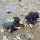 자연의집 이미지