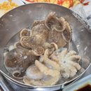 평촌역 제철음식 맛집 ‘쭈꾸미 샤브샤브’ 후기 : 한신포차마차