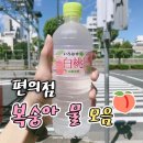 클레오파트라! 몰타에서 제일 가는 더 포인트몰 구경 | 몰타서점 Agenda bookshop 방문 후기, 문구 언박싱