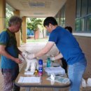 곡성-200 이미지