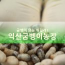 익산꽃벵이 | 굼벵이 효능 뭐길래, 하나뿐인내편 굼벵이탕 난리야?