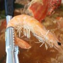 전라도밥상 네이버블로그