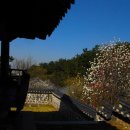 남간정사 이미지