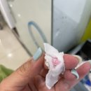 오이비인후과의원 이미지