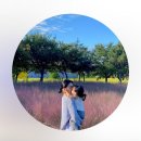 이혼숙려캠프 축구부부 故강지용 아내 인스타 업로드 이미지