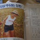 책 짓는 숲