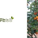 상서농장 이미지