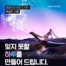 호텔데일리 이미지
