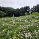 서악큰마을 티스토리