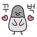 보배축산 이미지