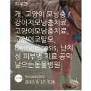 #️⃣일명:고양이 기생충 톡소플라즈마' 증 기생충 감염검사비 ₩53.000원*️⃣비 보험 수가를 보험 수가로 적용 검사받게 해주세요. 이미지