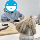 쿠앤밤상점 이미지