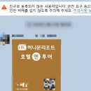 허니문폐백 | 스페인 포르투갈 신혼여행 허니문리조트 후기❤️ (견적공유)