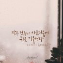 자연캘리그라피