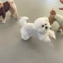 헬로우버디 이미지