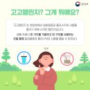 고고상점 - 부천시 원미구 | 고고상점