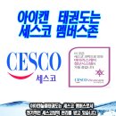 늘품태권도전문도장 네이버블로그