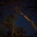 후평농장 이미지