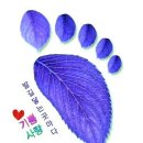 아름다운내일
