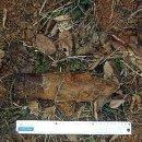 남면파출소 이미지