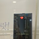 [공지] 헤이허니 서초점 오전 촬영 후기 (+양재시민의 숲)
