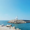 현우목장2 이미지