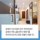 다솜이비인후과의원 이미지